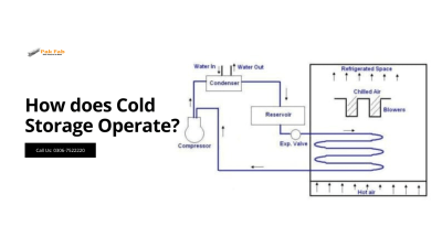 How Does Cold Storage Operate and What Is Cold Storage?